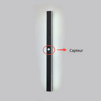 Emplacement du détecteur de mouvement sur l'applique