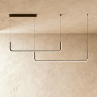 Lustre design linéaire minimaliste finition noire suspendu au plafond, vue d'ensemble