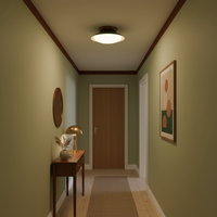 Plafonnier LED vintage dans un couloir aux murs vert olive