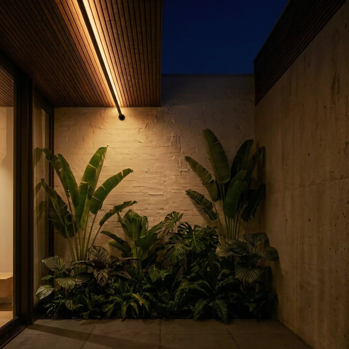 Applique murale LED linéaire noire illuminant un patio végétalisé la nuit