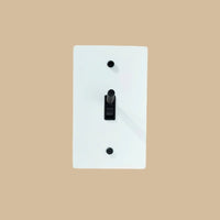 Interrupteur vintage a levier Blanc et Noir 1 poste