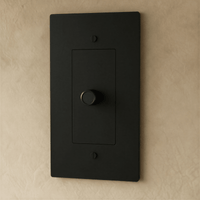 Variateur de lumière finition noir mat 1 poste