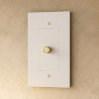 Variateur de lumière finition blanc et laiton 1 poste