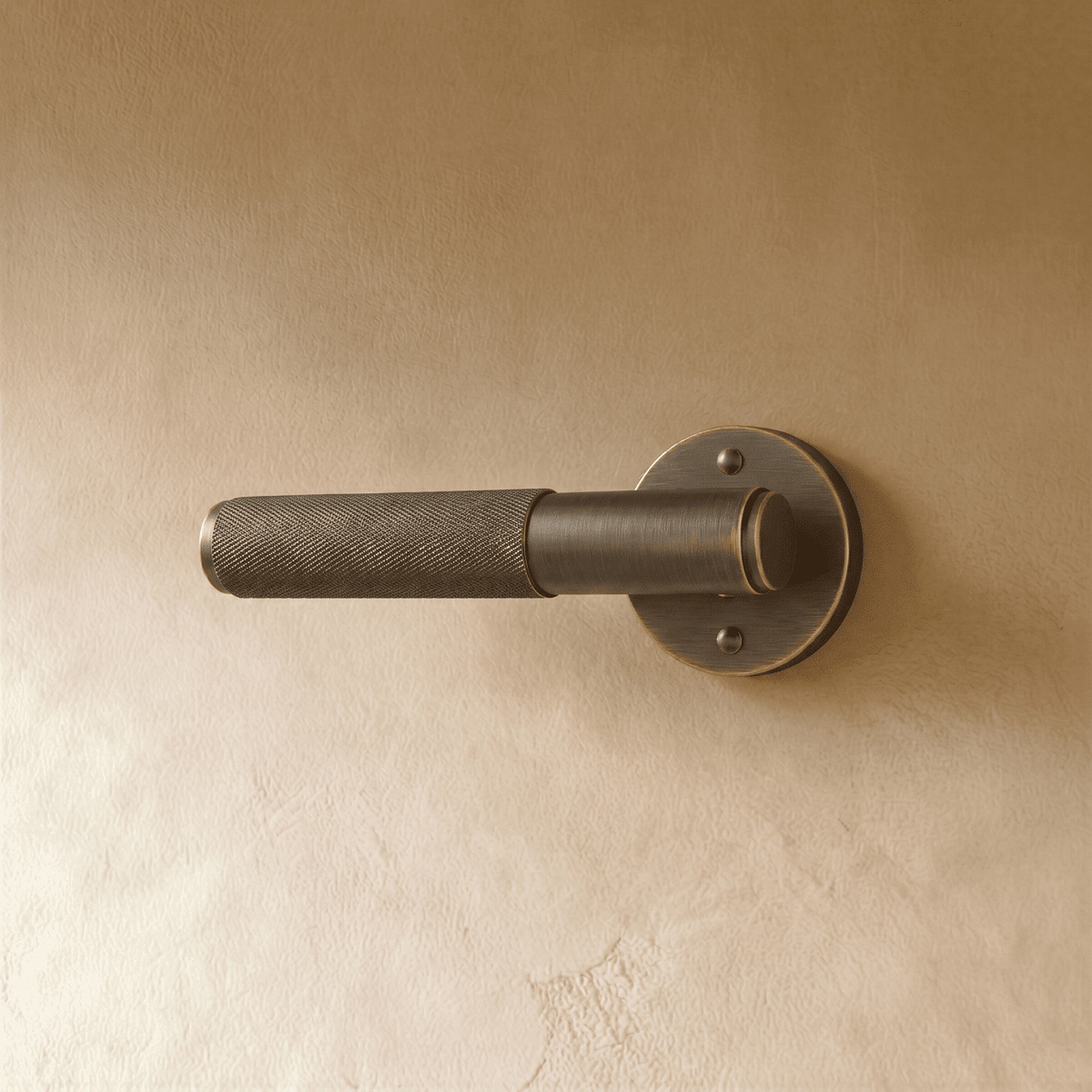 Poignée de porte bronze, rosace ronde