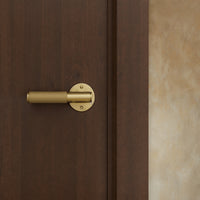 Poignée de porte laiton doré sur porte en bois sombre