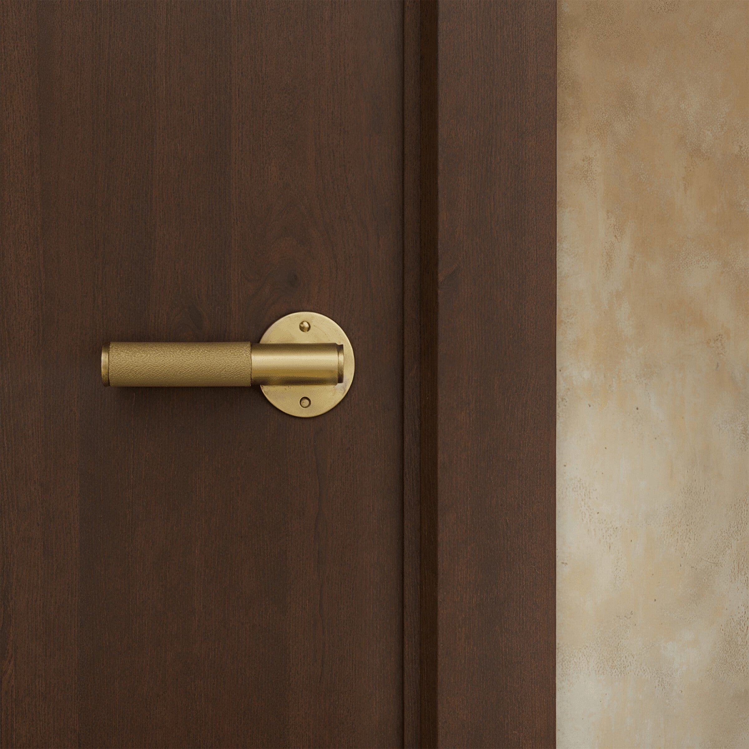 Poignée de porte laiton doré sur porte en bois sombre