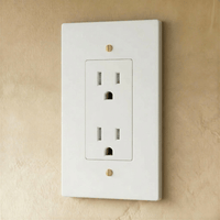 Prise électrique finition blanc et laiton 1 poste