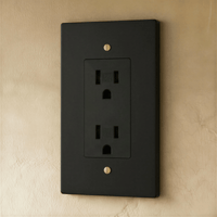 Prise électrique finition noir et laiton 1 poste